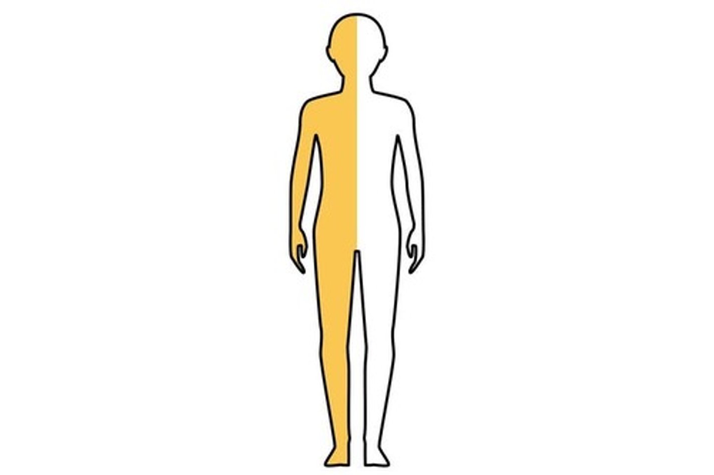 <p>one half of body</p>