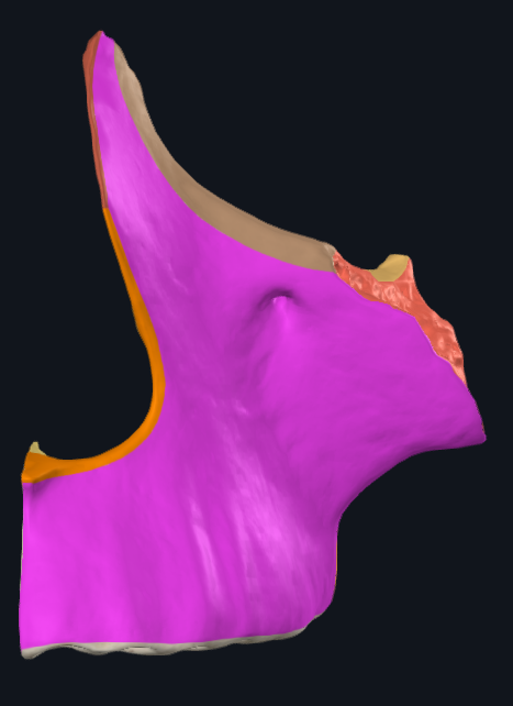 term image