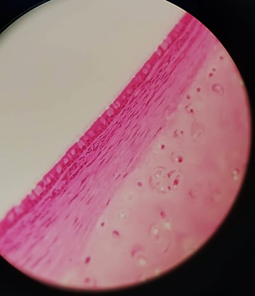 <p>what is this sample?</p>