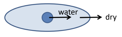 <p>Terrestrial environments are dry, lose water to the environment</p>