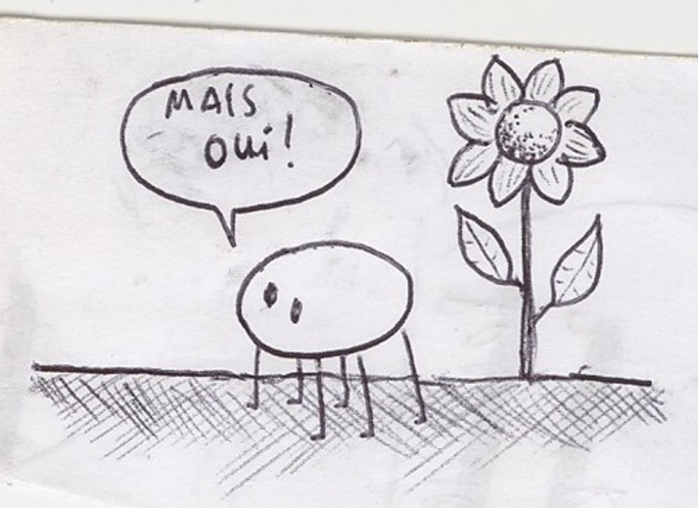 <p>But of course!</p>