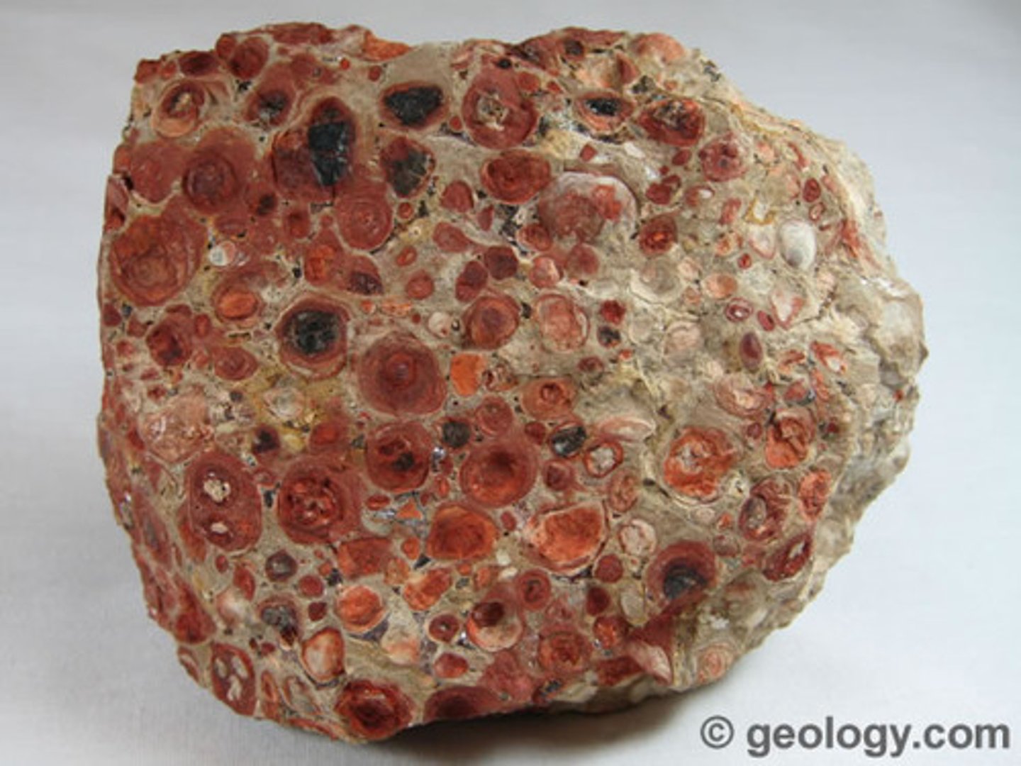 <p>Consisting of small, globular, fine grained concretions</p>