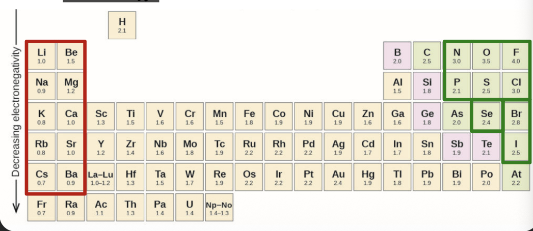 <p></p><p>Determining the type of bonding between two atoms: </p><ol start="2"><li><p>Bonds between one metal and one non-metal is often IONIC, while bonds between two non-metals are generally COVALENT</p></li></ol><ul><li><p>The position of the elements involved in the periodic table overrides the  <span>Δ</span>EN (or <span>Δχ</span>), when deciding about the type of bonding</p></li></ul><p></p>