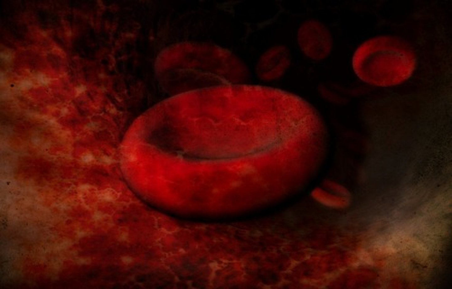 <p>cell</p>