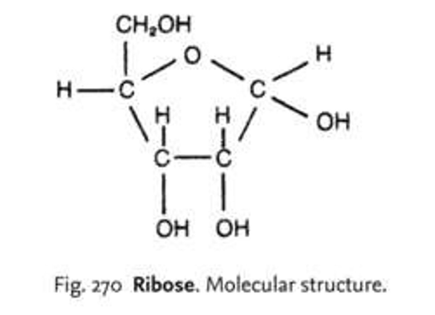 <p>C₅H₁₀O₅, found in RNA, pentose sugar.</p>