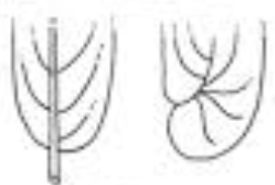 <p>base</p>