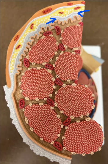 <p>What is this?</p>