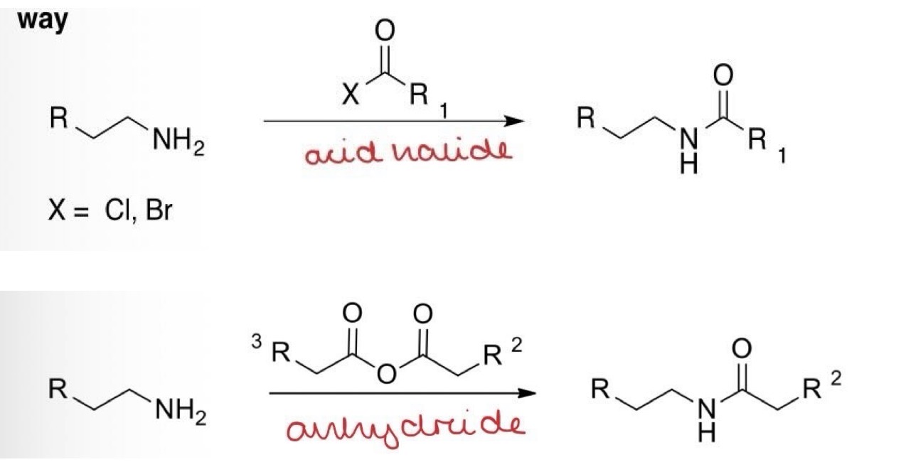 <p>1°/2° Amine + acid halide —> Amide</p><p>1°/2° Amine + acid anhydride —> Amide</p>