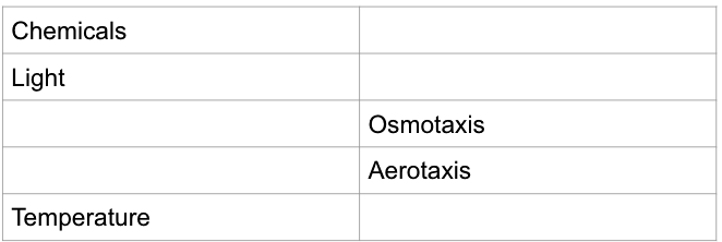 **Fill in the blank of the missing external stimuli:**