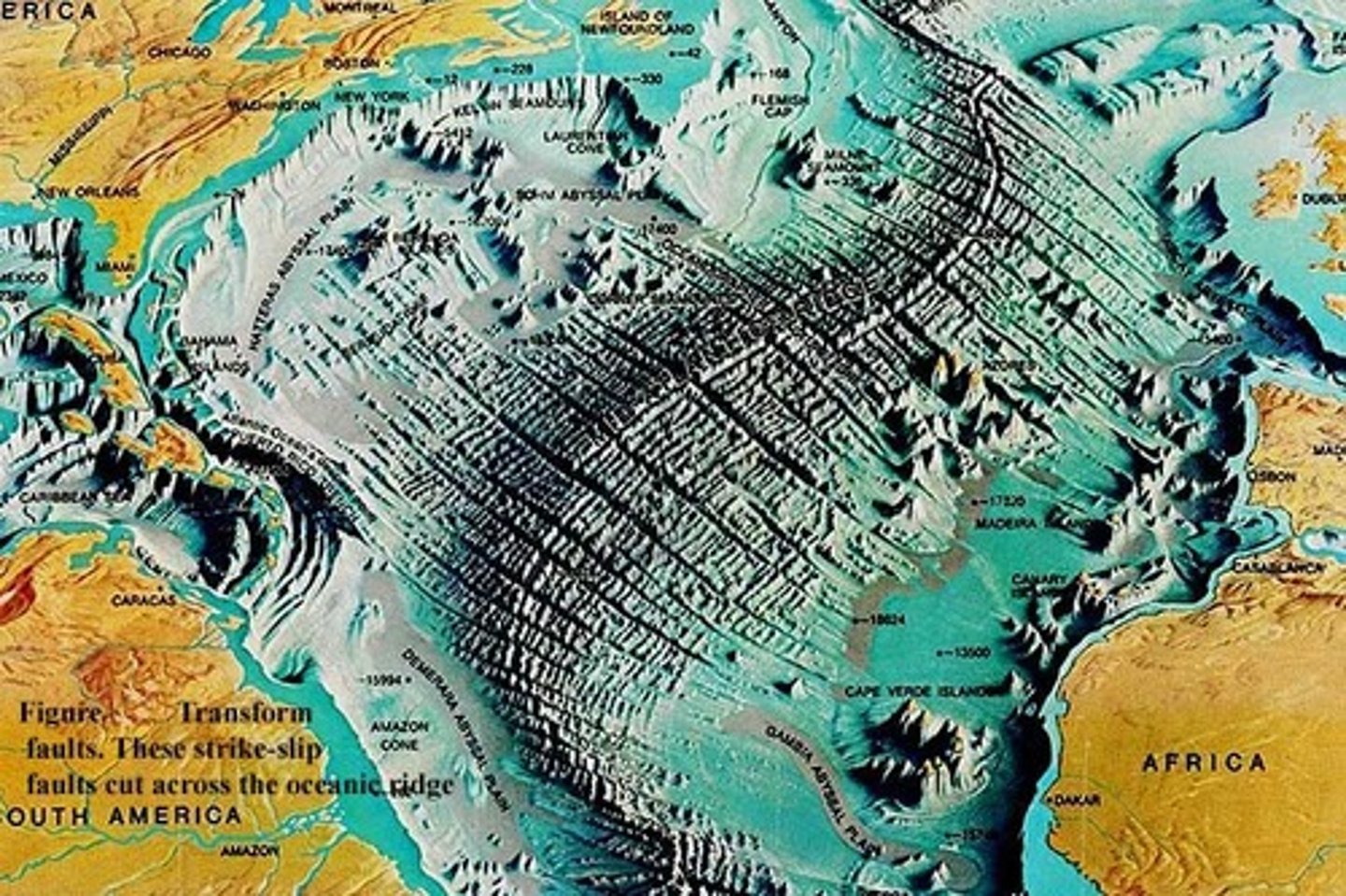 <p>divergent boundary in the middle of the Atlantic Ocean</p>