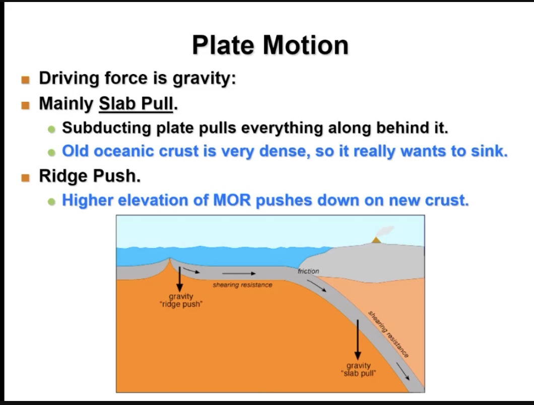 <p>HIgher elevation of MOR pushes down on new crust</p>