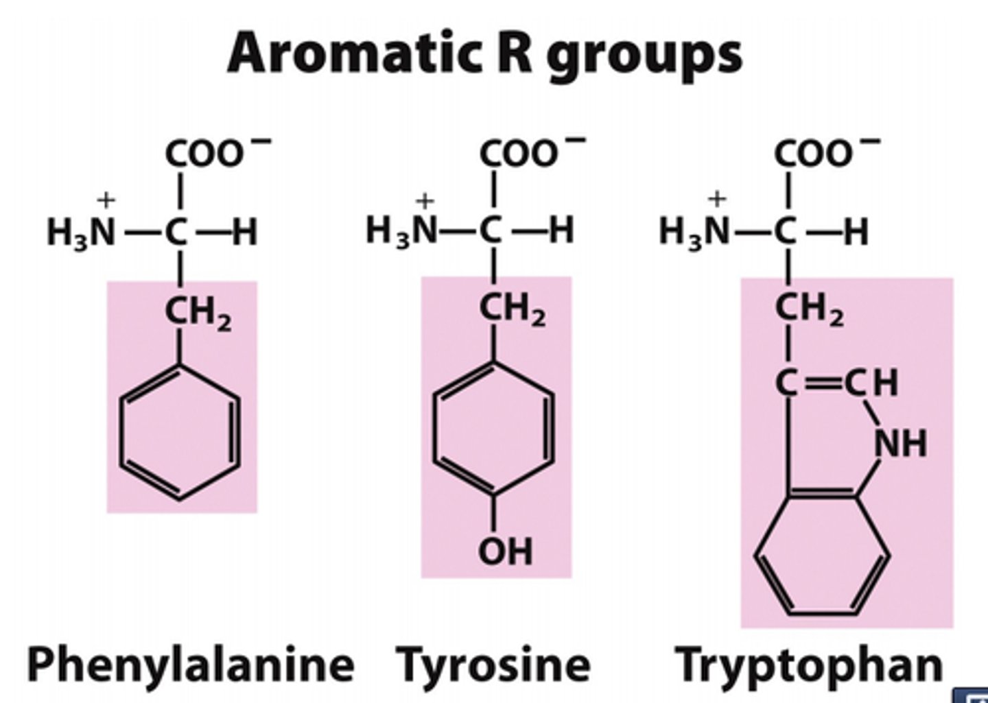 <p>aromatic</p>
