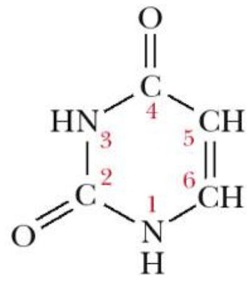 <p>Name that structure.</p>