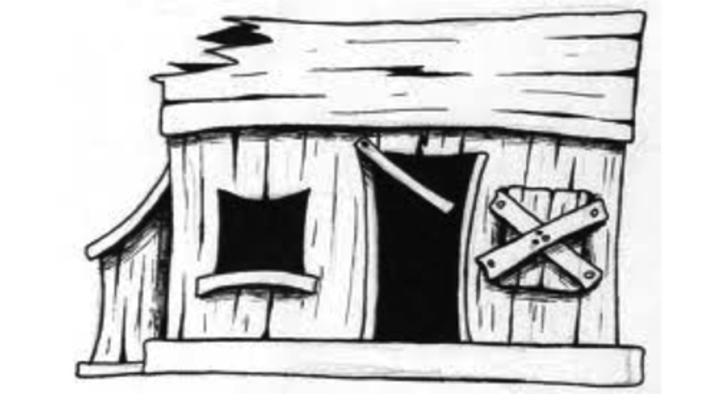 <p>the shack</p>