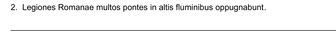 term image