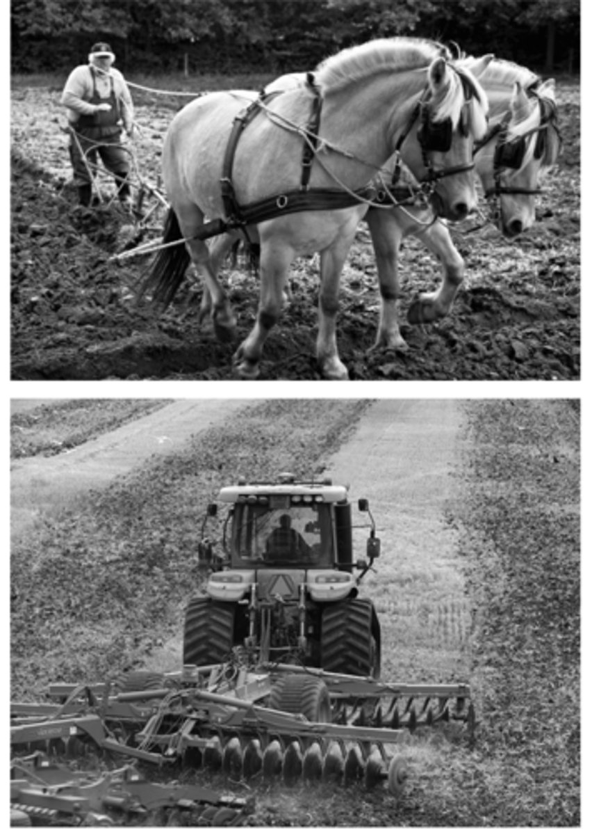 <p>The mechanization of farming in the Second Agricultural Revolution resulted in more reliable crop harvests and healthier populations in areas where the mechanization was adopted.</p>