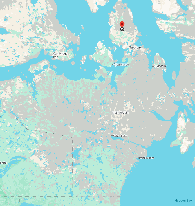 term image