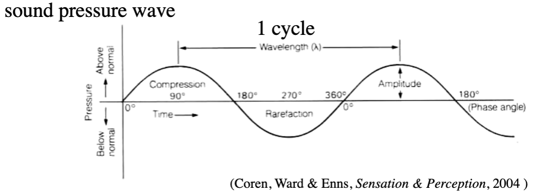 <p>sound produced by physical vibrations</p><ul><li><p>compression</p></li><li><p>refraction</p></li><li><p>frequency</p></li><li><p>phase</p></li><li><p>amplitude</p></li></ul><p></p>