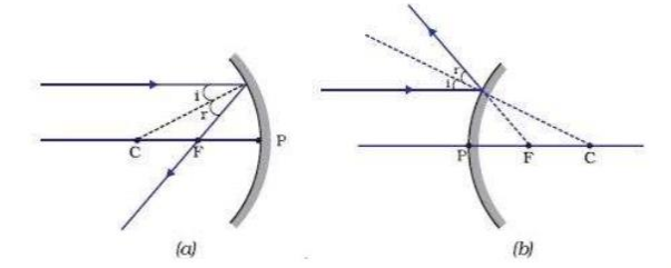 (a) Concave                                 (b) Convex