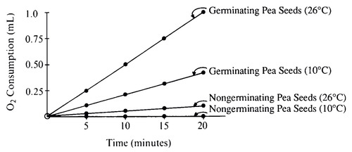 <p><span>The following questions refer to an experiment that is set up to determine the relative volume of O2 consumed by germinating and nongerminating (dry) pea seeds at two different temperatures. The change in volume is detected by using a respirometer over a given period of time. The data are given below.</span><br><span>The rate of oxygen consumption in germinating pea seeds at 26ºC is</span></p>
