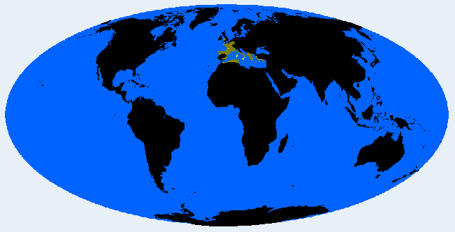 <p>Paleo Sardinian (Mediterranid)</p>