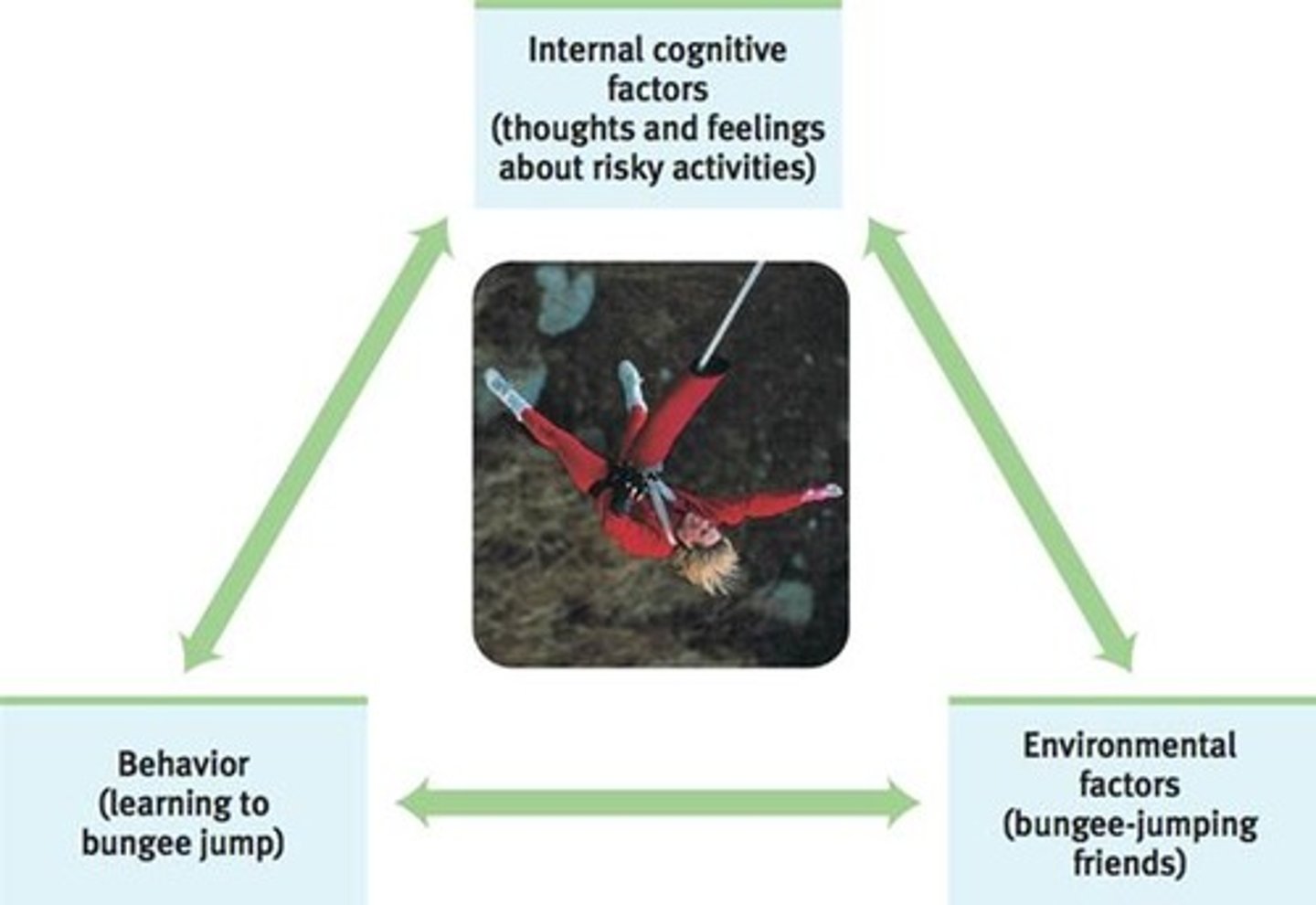<p>the interacting influences of behavior, internal cognition, and environment</p>
