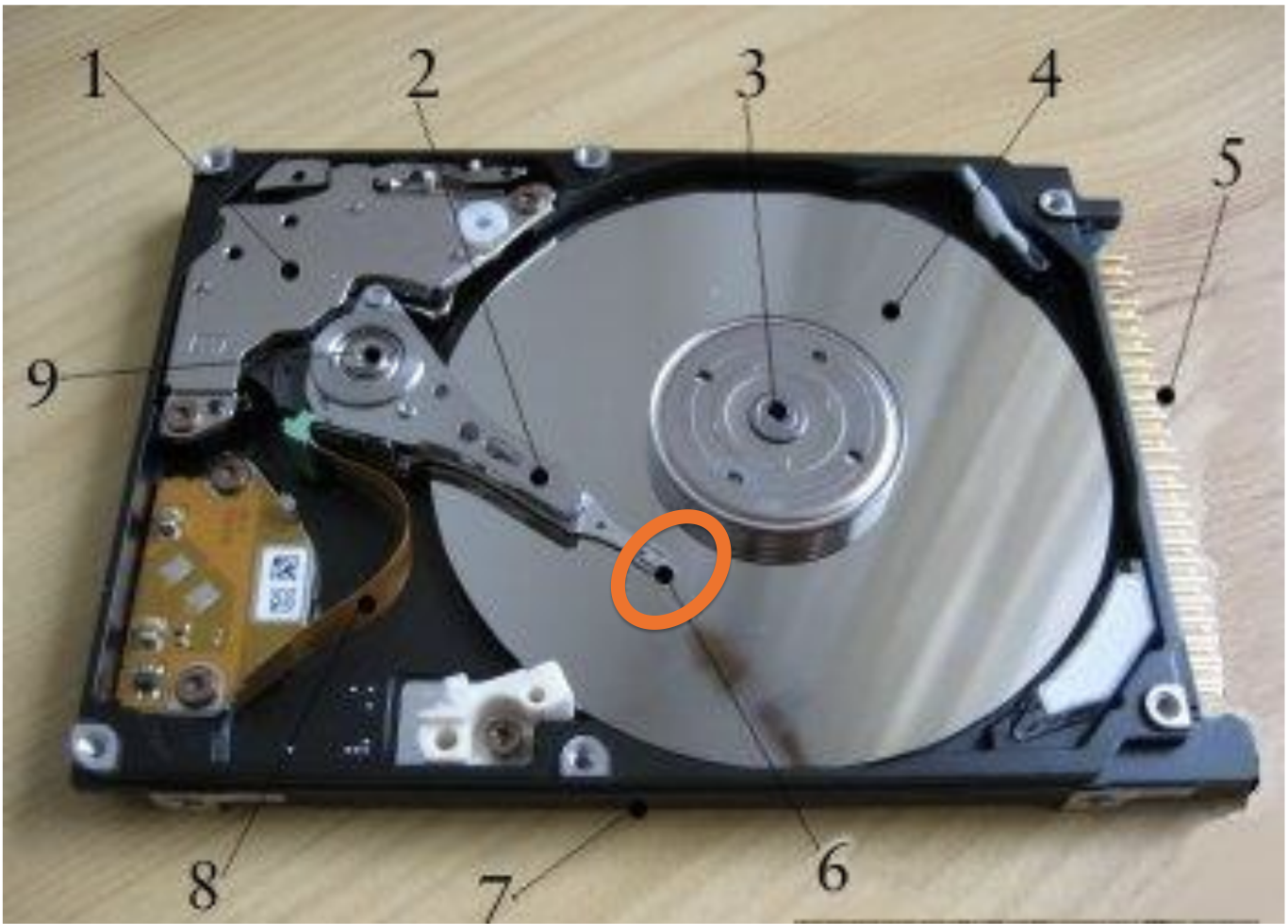 knowt flashcard image