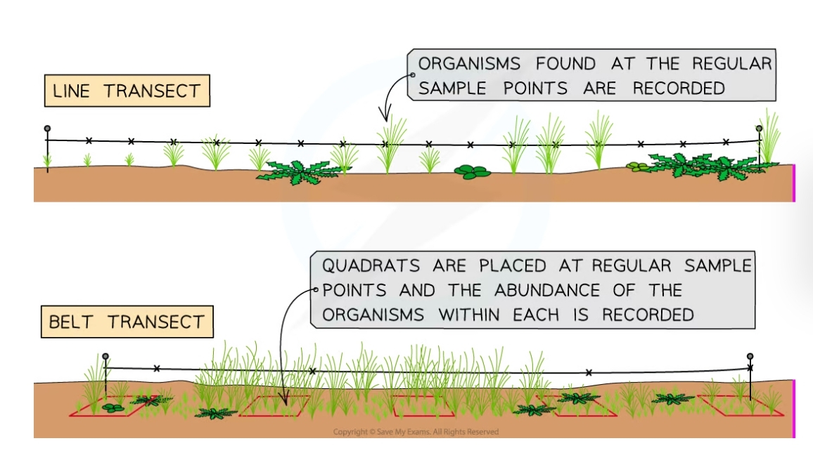 * Determining how species abundance and distribution might change along a gradient 
* e.g. at increasing distances from a field margin or perpendicular to the water's edge on a rocky shore
