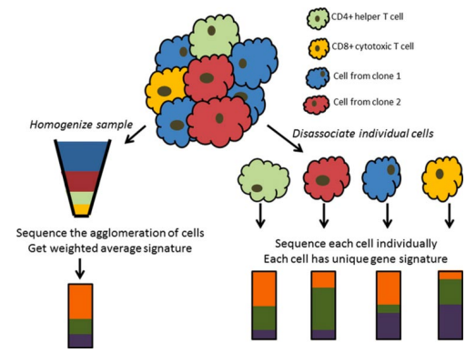 <p>think of it as taking the average, this means that difference between individual cells can be masked making them harder to identify</p>