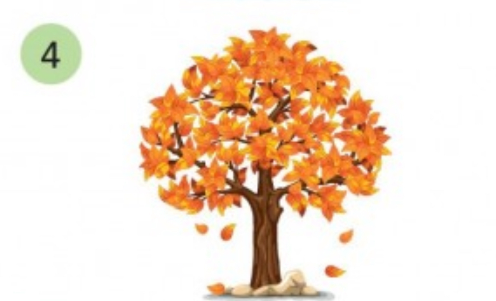 <p>autumn (the Fall)</p>