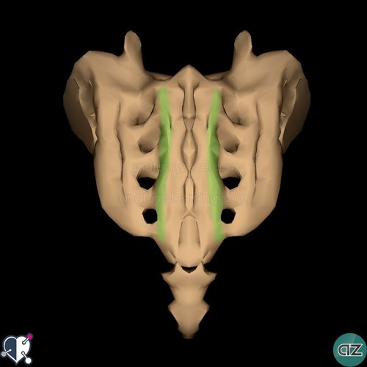 <p>Name the structure.</p>