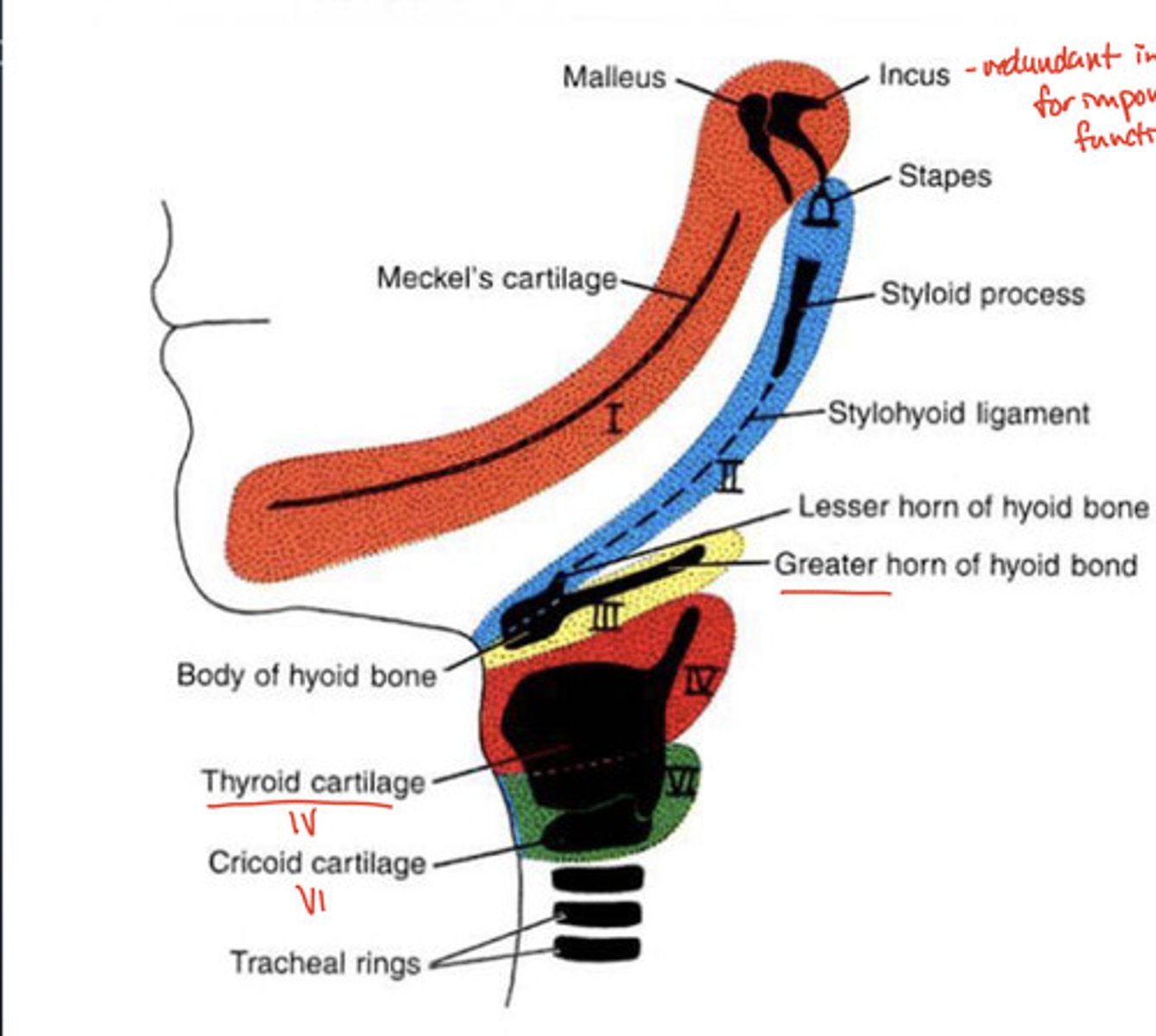 <p>6th</p>