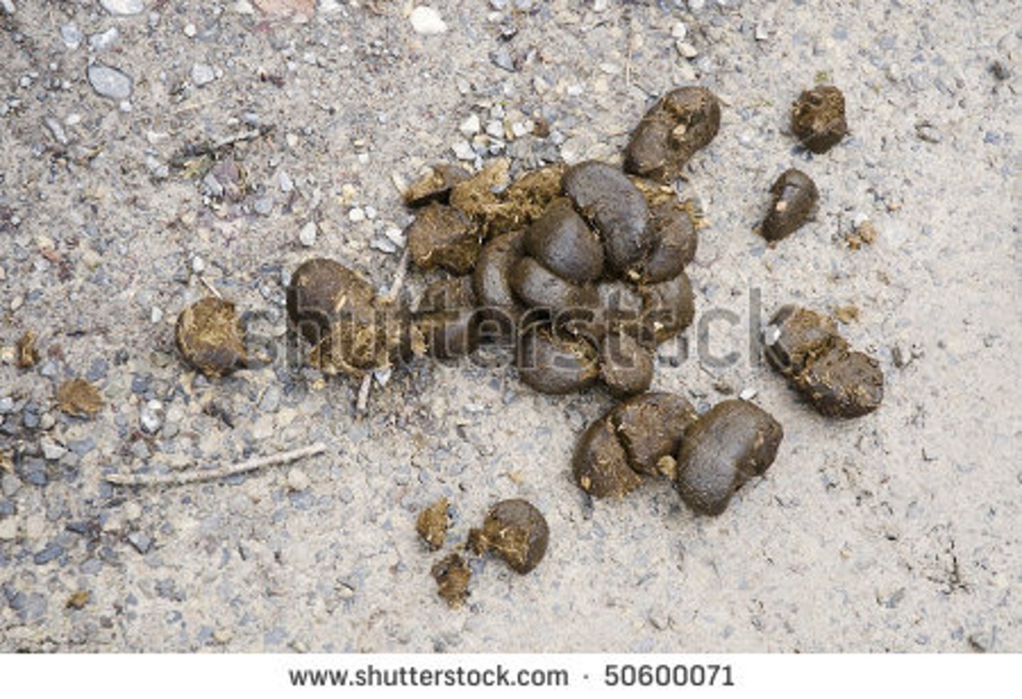 <p>Manure - can be used as natural fertilizer</p>