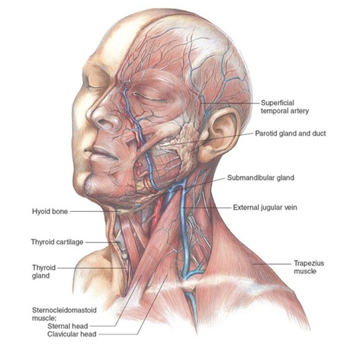 <p>Change medications.</p>