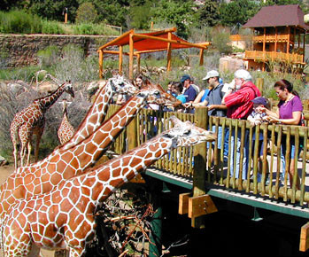 involves conserving biological diversity in human-controlled settings such as zoos, aquaria, and seed banks