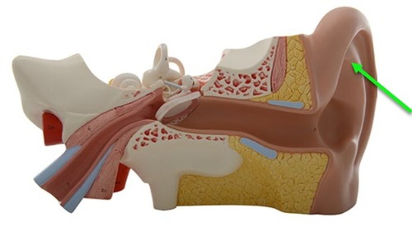 <p>structure</p>