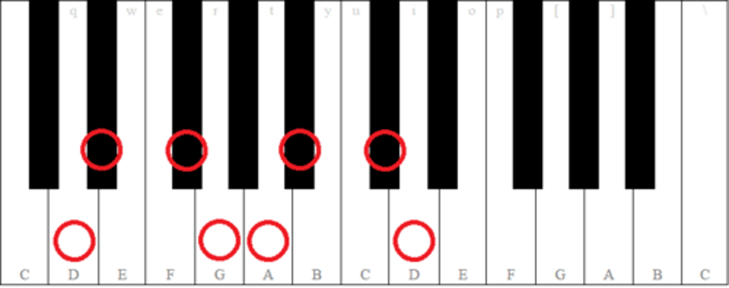 <p>an indian scale - sa , ri , ga , ma , pa , dha , ni</p>