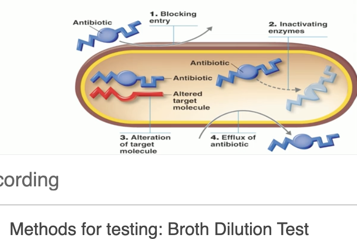 <ol><li><p>prevention of penetration of drug</p></li><li><p>enzymatic destruction of drug</p></li><li><p>alteration of the drug’s target site</p></li><li><p>rapid ejection of the drug </p></li></ol><p></p>