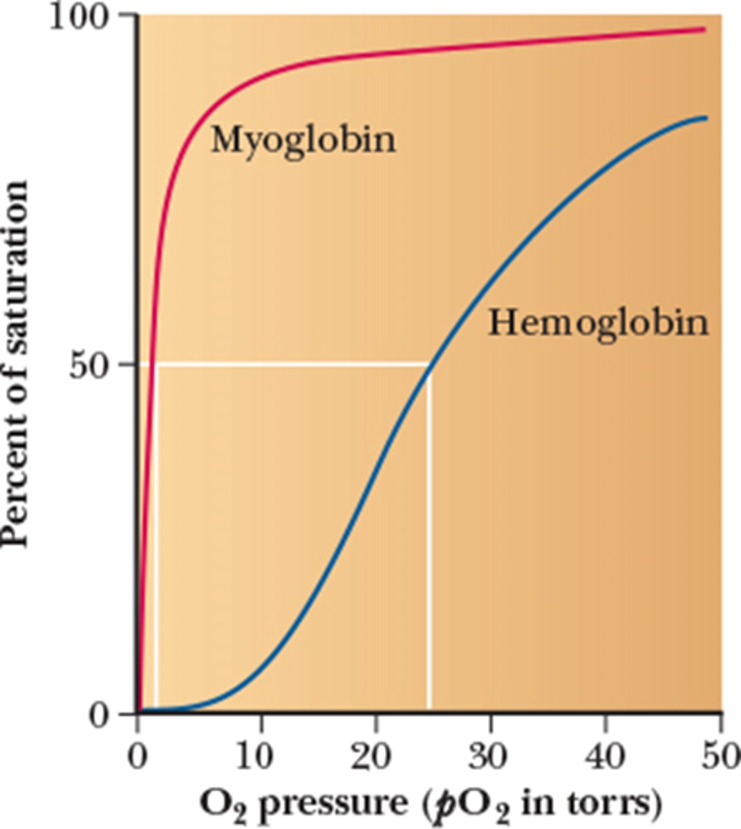 <p>Sigmoidal</p>