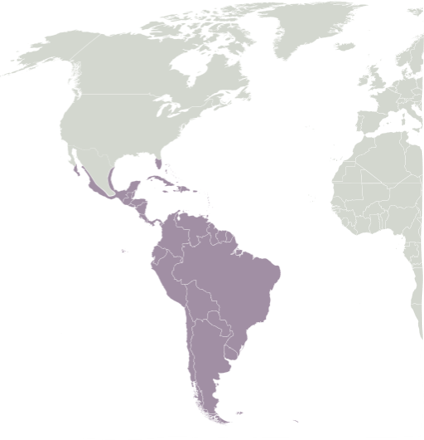 - Moist Broadleaf forests
- Amazon Rainforest
- Humid forest and wetlands