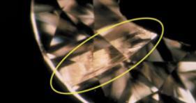 <p>What inclusion is this?</p>