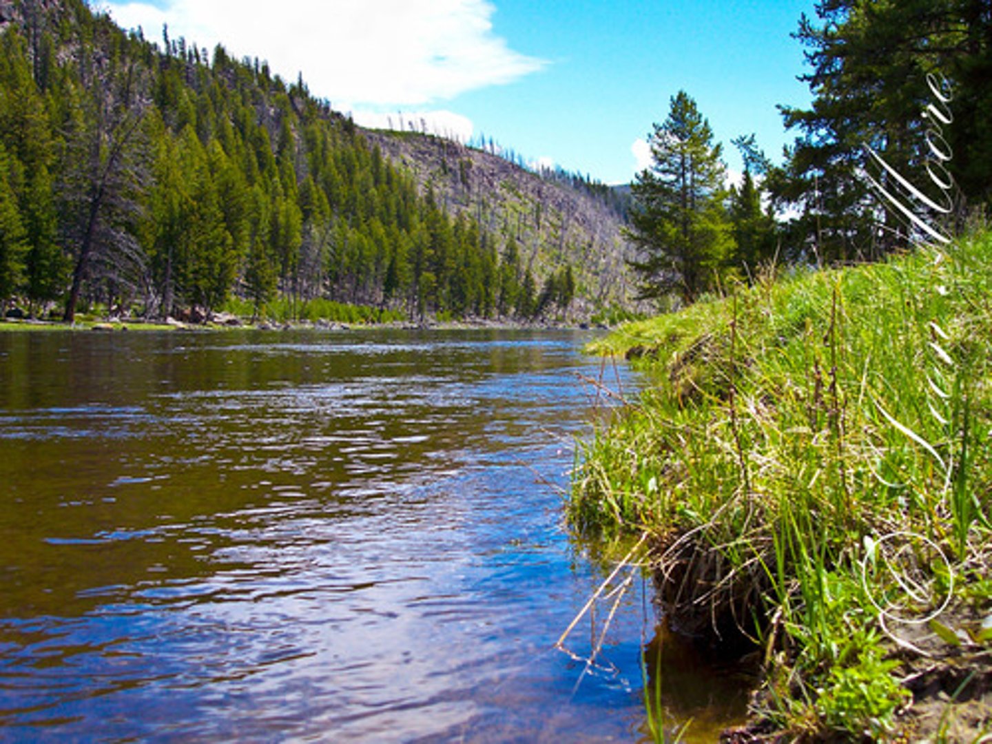 <p>Wyoming, Montana, Idaho</p>
