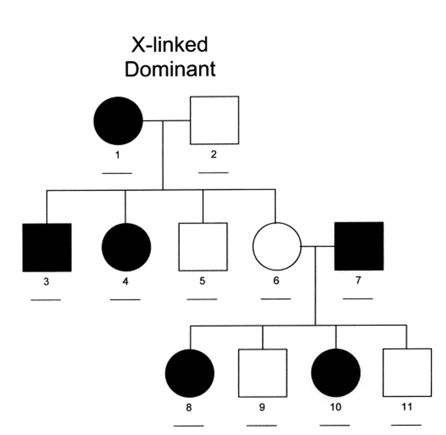 <p>Females are often more affected than males</p><p>Does not skip generations</p><p>Affected sons must have an affected mother or an affected father</p><p>Affected fathers will pass the trait on to all their daughters</p><p>Heterozygous mothers will pass the trait on to half of her sons and half of her daughters</p><p></p>