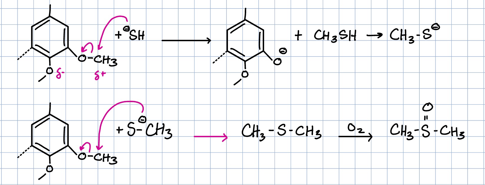<p>produced from demethylation reactions with craft liquor and the addition of sulfur—used as a solvent</p>