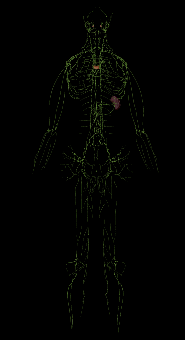 spooky