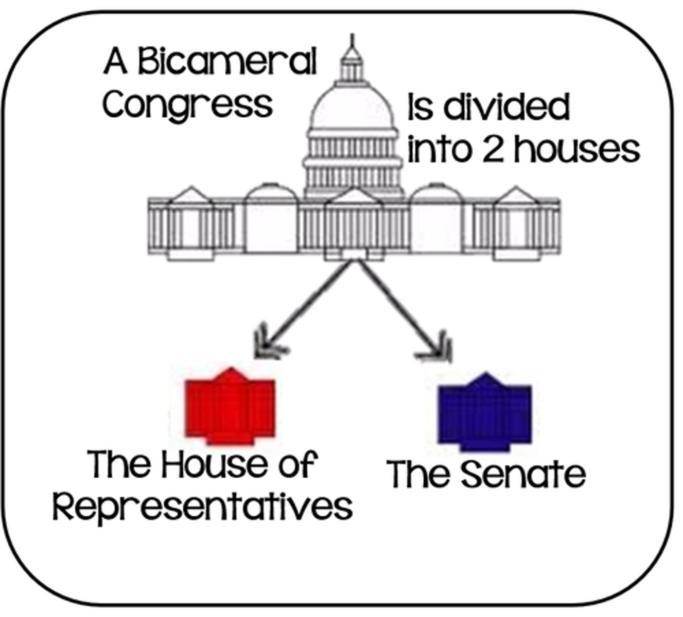 <p>Senate and House of Representatives</p>