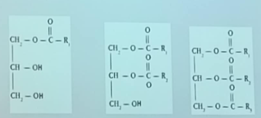 <p>które to mono, di i triacyloglicerole?</p>