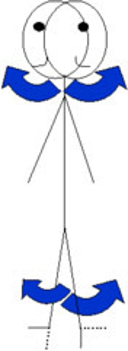 <p>Movement of a bone around its longitudinal axis.</p>