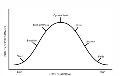 <p>there is an optimal state of arousal corresponding to a particular task.</p><p>When arousal is too low or too high, it leads to poorer performance</p>