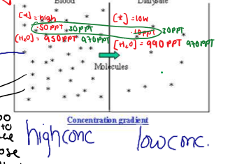 <p>Molecules are bumping into one another</p><ul><li><p>when it gets too hot for the molecules, it’ll move to area will low conc. </p></li><li><p>won’t stay close together <u>all</u> the time</p></li><li><p>odds of crashing into another molecule in [high] is higher</p></li></ul><p>Example allows to salt, sugar, protein (and more) molecules</p><p></p>